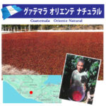 珈房サッポロ珈琲館:グアテマラ オリエンテ ナチュラル