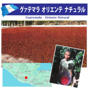 珈房サッポロ珈琲館:グアテマラ オリエンテ ナチュラル