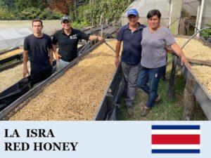 丸美珈琲店:コスタリカ イスラ農園 レッドハニー