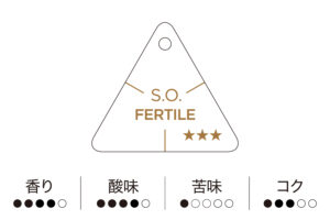 工房 横井珈琲：ホンジュラス エル・プエンテ パカマラ