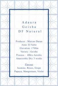 Definitive.：パナマ アダウラ ゲイシャ ダブル・ファーメンテーション ナチュラル