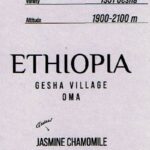 アシッドコーヒートーキョー:エチオピア ゲシャ・ヴィレッジ オマ ゲシャ 1931 ナチュラル