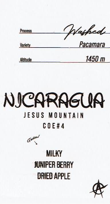 アシッドコーヒートーキョー：ニカラグア ヘスス・マウンテン パカマラ ニカラグア カップ・オブ・エクセレンス 2023年 第4位