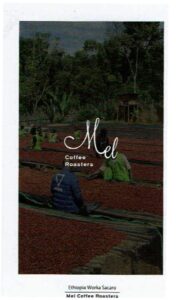 Mel Coffee Roasters:エチオピア ウォルカ ウォッシュト