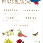 スタンダードコーヒーラボ:コロンビア ペーニャス・ブランカス ゲイシャ セミ・ウォッシュト