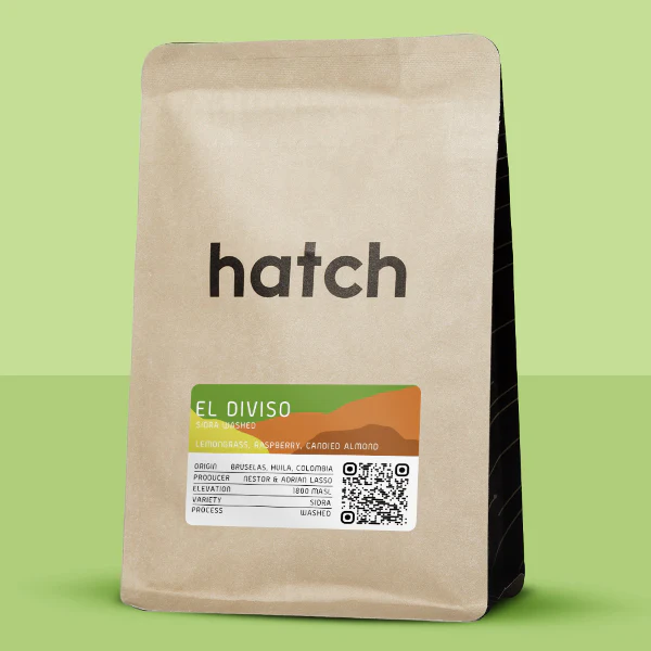 Hatch Coffee：コロンビア エル・ディビゾ シドラ ウォッシュト