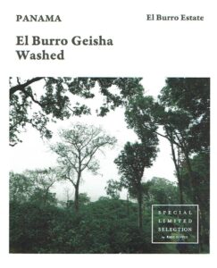 REC COFFEE:パナマ エル・ブーロ ゲイシャ ウォッシュト