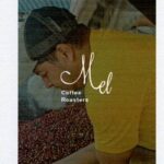Mel Coffee Roasters:コロンビア ラ・ミエル ウォッシュト
