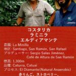 ウニール:コスタリカ ラ ミニラ エルディアマンテ