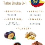 スタンダードコーヒーラボ：エチオピア タベ・ブルカ G1