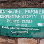 ケニア ガタイティコーヒー生産者協同組合