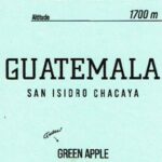 アシッドコーヒートーキョー:グアテマラ サン・イシドロ・チャカヤ マラカツーラ ウォッシュト