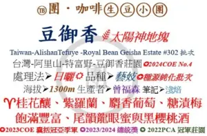 Twang Coffee 團咖啡：台湾 豆御香藝伎莊園（ロイヤル・ビーン・ゲイシャ・エステート） ゲイシャ ナチュラル #302