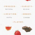 スタンダードコーヒーラボ：エチオピア ジナブ ゲイシャ ナチュラル