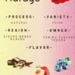 スタンダードコーヒーラボ:エチオピア タミル・タデッセ・テセマ ムラゴ ナチュラル