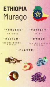 スタンダードコーヒーラボ：エチオピア タミル・タデッセ・テセマ ムラゴ ナチュラル