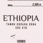 アシッドコーヒートーキョー:エチオピア タムル・ゴドナ・ドバ エチオピア カップ・オブ・エクセレンス 2024年 第16位