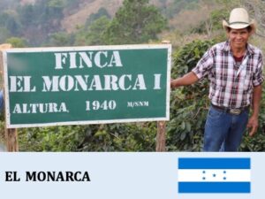 丸美珈琲店：ホンジュラス モナルカ農園 IHCAFE 90