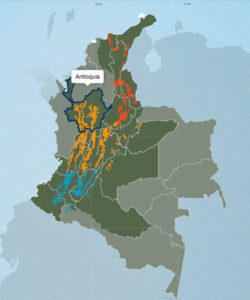 コロンビアのコーヒー生産地：アンティオキア