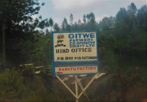ケニア ギトウェ生産者協同組合