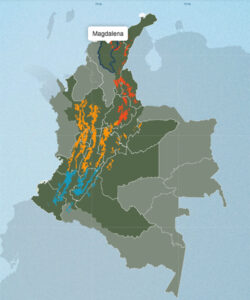 コロンビアのコーヒー生産地：マグダレナ