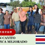 丸美珈琲店:コスタリカ ドン・カイート農園 ティピカ・メホラード レポサド イエローハニー