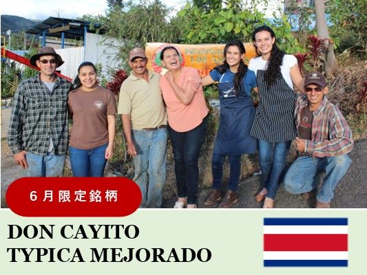 丸美珈琲店:コスタリカ ドン・カイート農園 ティピカ・メホラード レポサド イエローハニー