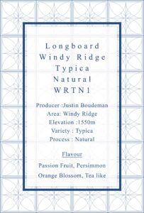 Definitive.：パナマ ロングボード ウィンディ・リッジ ティピカ ナチュラル 1