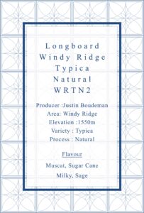 Definitive.：パナマ ロングボード ウィンディ・リッジ ティピカ ナチュラル 2