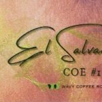 WAVY COFFEE ROASTERS:エルサルバドル ミレイディ パカマラ セミ・ウォッシュト エルサルバドル カップ・オブ・エクセレンス 2023年 第1位