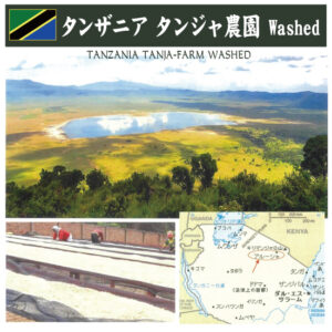 珈房サッポロ珈琲館：タンザニア タンジャ農園 ウォッシュト