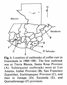 グアテマラにおけるコーヒーさび病菌の初発生（1980年）