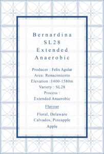 Definitive.:パナマ ベルナルディナ SL28 エクステンディッド・アネロビック