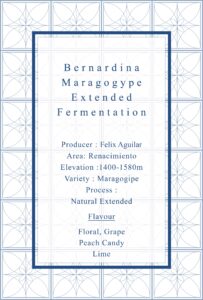 Definitive.：パナマ ベルナルディナ マラゴジッペ エクステンディッド・ファーメンテーション