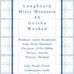 Definitive.:パナマ ロングボード ミスティ・マウンテン 44 ゲイシャ ウォッシュト