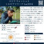 ゲシャリーコーヒー：パナマ コトワ ウォッシュト シルビアマリーナ Lot3214