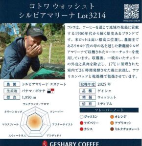 ゲシャリーコーヒー:パナマ コトワ ウォッシュト シルビアマリーナ Lot3214