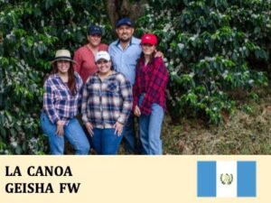 丸美珈琲店：グアテマラ カノア農園 ゲイシャ フリーウォッシュト