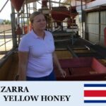 丸美珈琲店：コスタリカ キサラ農園 H1 イエローハニー