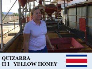 丸美珈琲店：コスタリカ キサラ農園 H1 イエローハニー