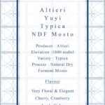 Definitive.：パナマ アルティエリ ユイ ティピカ ナチュラル・ドライ・ファーメント モスト