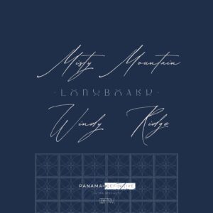 Definitive.：パナマ ロングボード ミスティ・マウンテン ゲイシャ ナチュラル #28