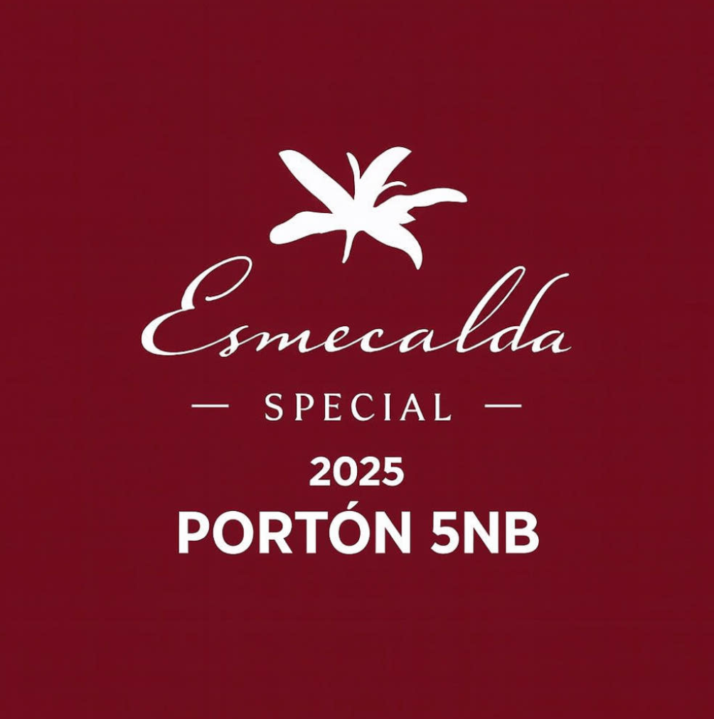 ルリコーヒー RULICOFFEE(ㄹㄹㅋㅍ)：パナマ エスメラルダ ポルトン 5NB ゲイシャ ナチュラル エスメラルダ・スペシャル 2025年 파나마 에스메랄다 스페설 Porton 5NB 내추럴