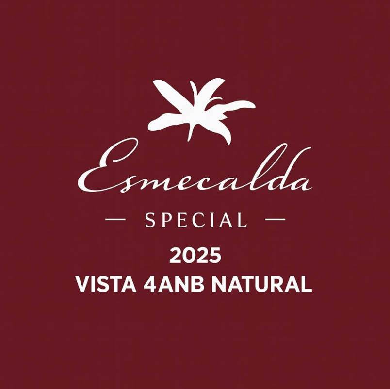 ルリコーヒー RULICOFFEE(ㄹㄹㅋㅍ)：パナマ エスメラルダ ブエナビスタ 4ANB ゲイシャ ナチュラル エスメラルダ・スペシャル 2025年 파나마 에스메랄다 스페설 Buena Vista 4ANB 내추럴