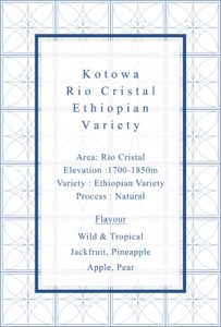 Definitive.：パナマ コトワ リオ・クリスタル エチオピアン・バラエティ