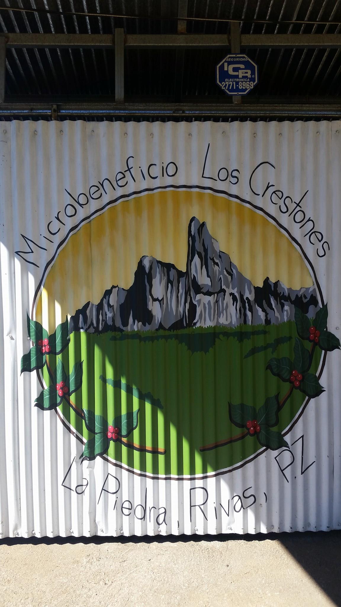 コスタリカ ロス・クレストネス マイクロミル