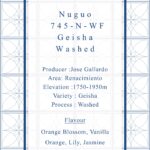 Definitive.：パナマ ヌグオ 745-N-WF ゲイシャ ウォッシュト