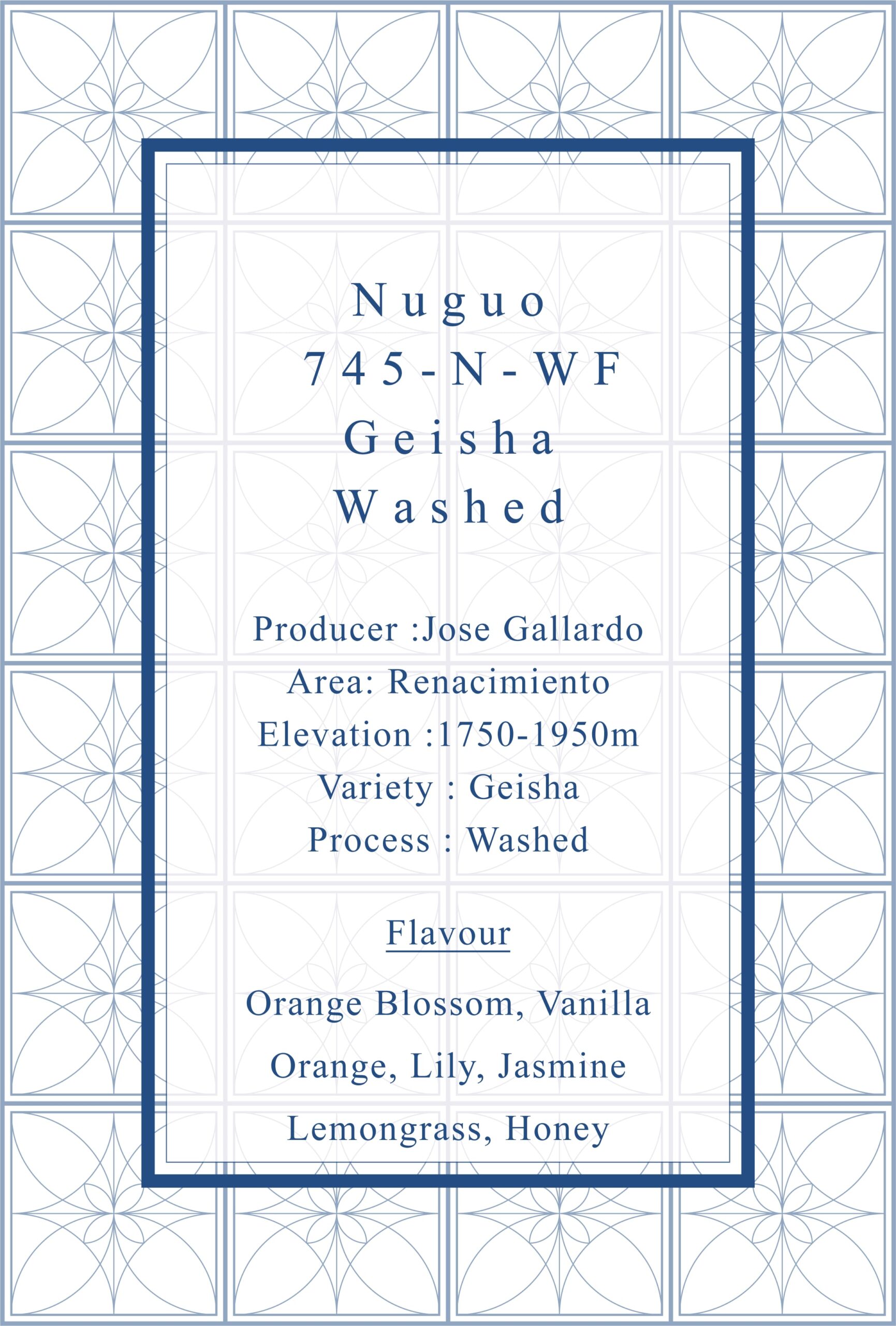 Definitive.:パナマ ヌグオ 745-N-WF ゲイシャ ウォッシュト