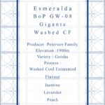 Definitive.：パナマ エスメラルダ カーニャ・ベルデス ブエルタ・デル・ヒガンテ ベスト・オブ・パナマ 2024年 ゲイシャ ウォッシュト部門 第8位