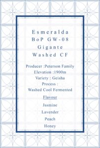 Definitive.：パナマ エスメラルダ カーニャ・ベルデス ブエルタ・デル・ヒガンテ ベスト・オブ・パナマ 2024年 ゲイシャ ウォッシュト部門 第8位